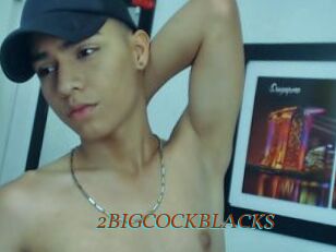 2BIGCOCKBLACKS