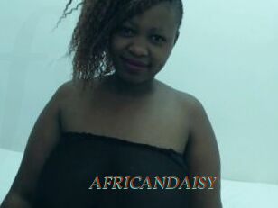 AFRICANDAISY