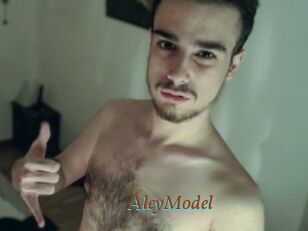 AleyModel