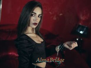 AlmaBridge