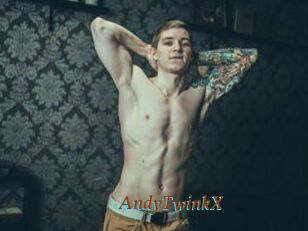 AndyTwinkX