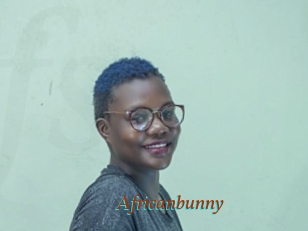 Africanbunny