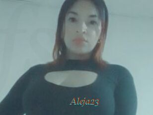 Aleja23