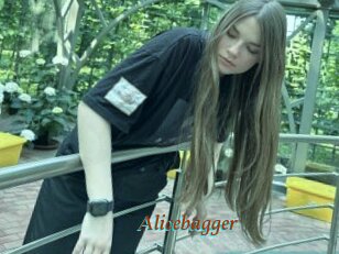 Alicebagger