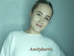 Amitybarris