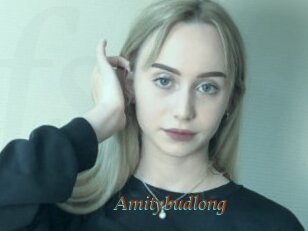 Amitybudlong