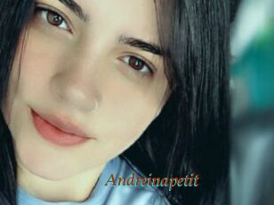 Andreinapetit