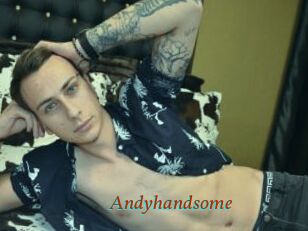 Andyhandsome