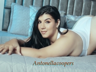 Antonellacoopers