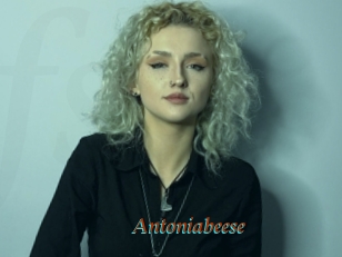 Antoniabeese