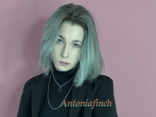 Antoniafinch