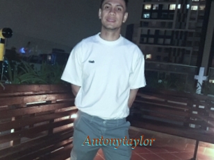 Antonytaylor