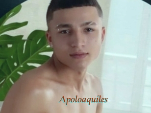 Apoloaquiles