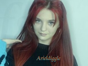 Arieldiggle