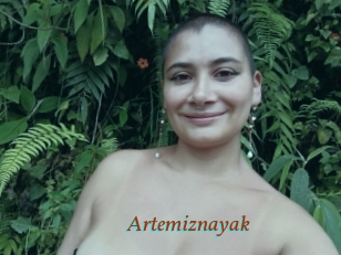 Artemiznayak