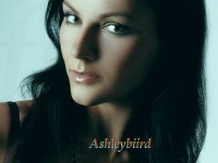 Ashleybiird