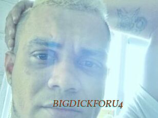 BIGDICKFORU4