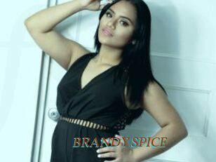 BRANDY_SPICE