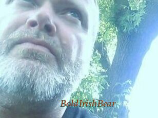 BoldIrishBear