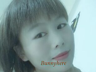 Bunnyhere