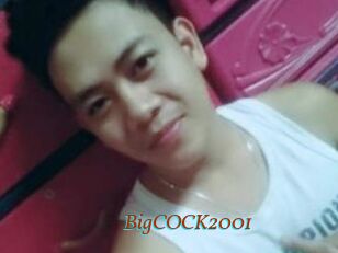 BigCOCK2001