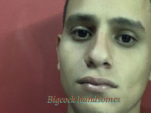 Bigcock_handsomes