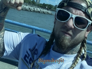 Bigmikesfit