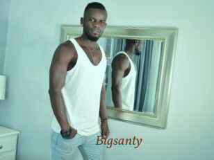 Bigsanty