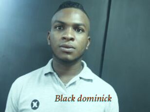 Black_dominick