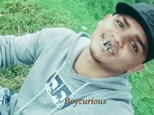 Boycurious