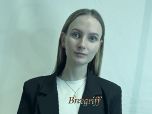 Breegriff