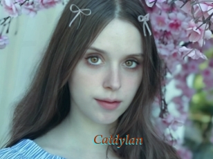 Catdylan
