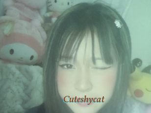 Cuteshycat