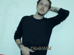 DitrihWild