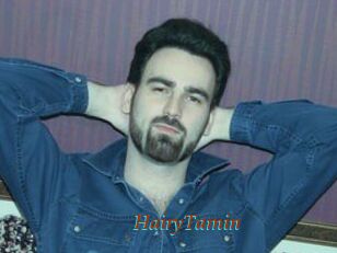 HairyTamin