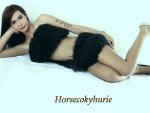 Horsecokyhurie