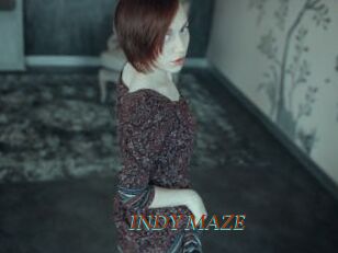 INDY_MAZE