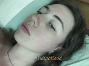 Indigoflood