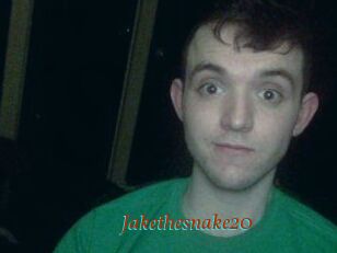 Jakethesnake20