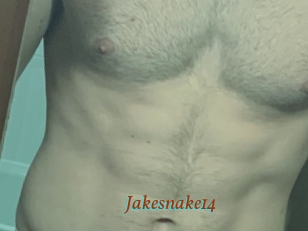 Jakesnake14