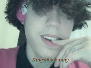 Kingsnowbunny