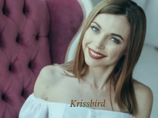 Krissbird