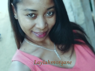 Laylahmorgane