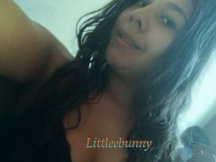 Littleebunny