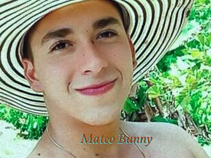 Mateo_Bunny