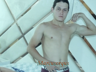 Marcusorgus