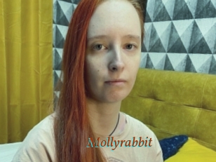 Mollyrabbit