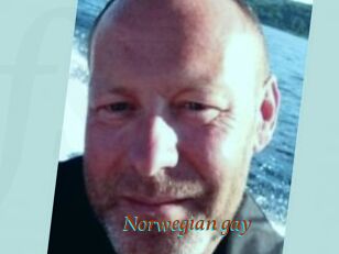 Norwegian_gay