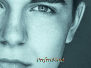 PerfectMind