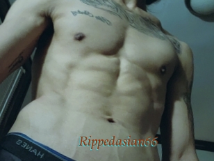 Rippedasian66